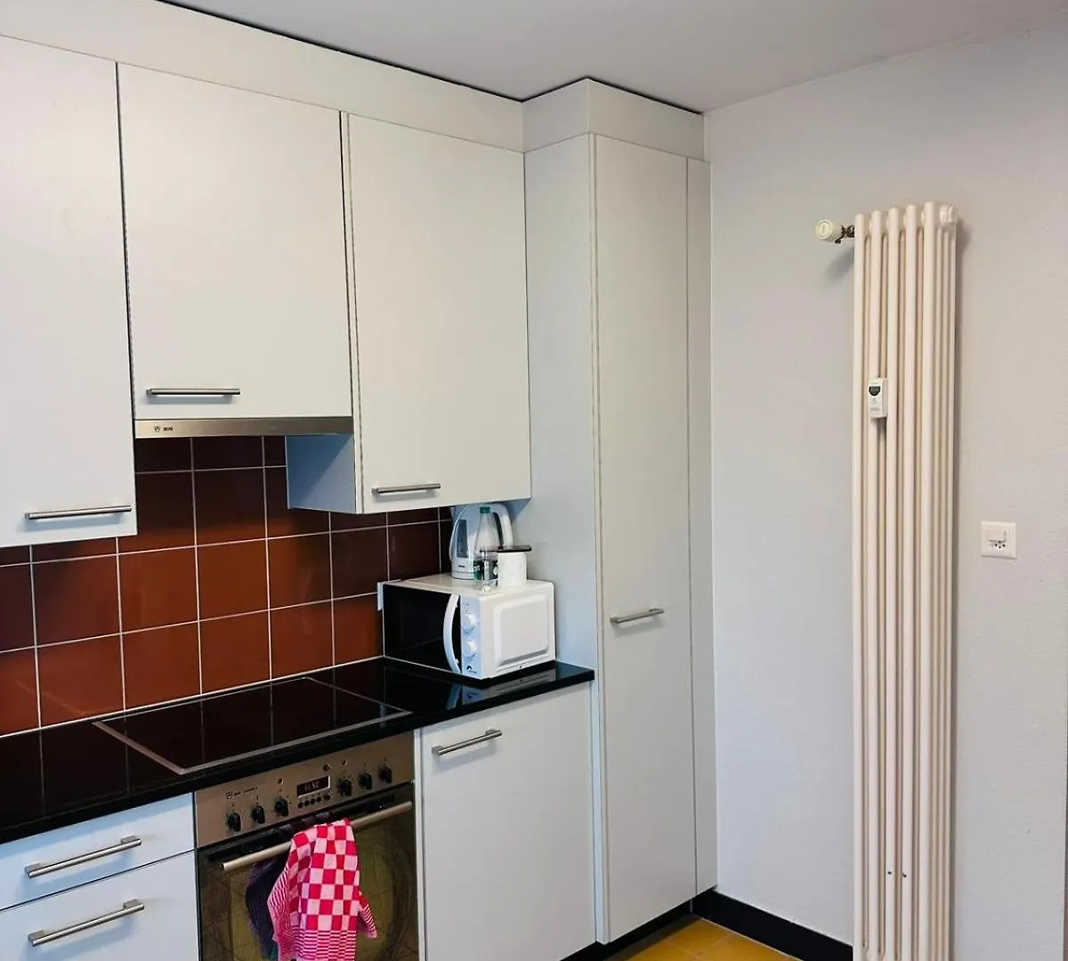 Luxury tent Apt Near Basel Centre And Airport Hotel